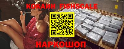 шишки Кандалакша