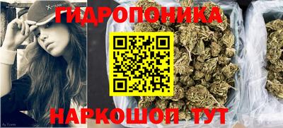 шишки Кандалакша