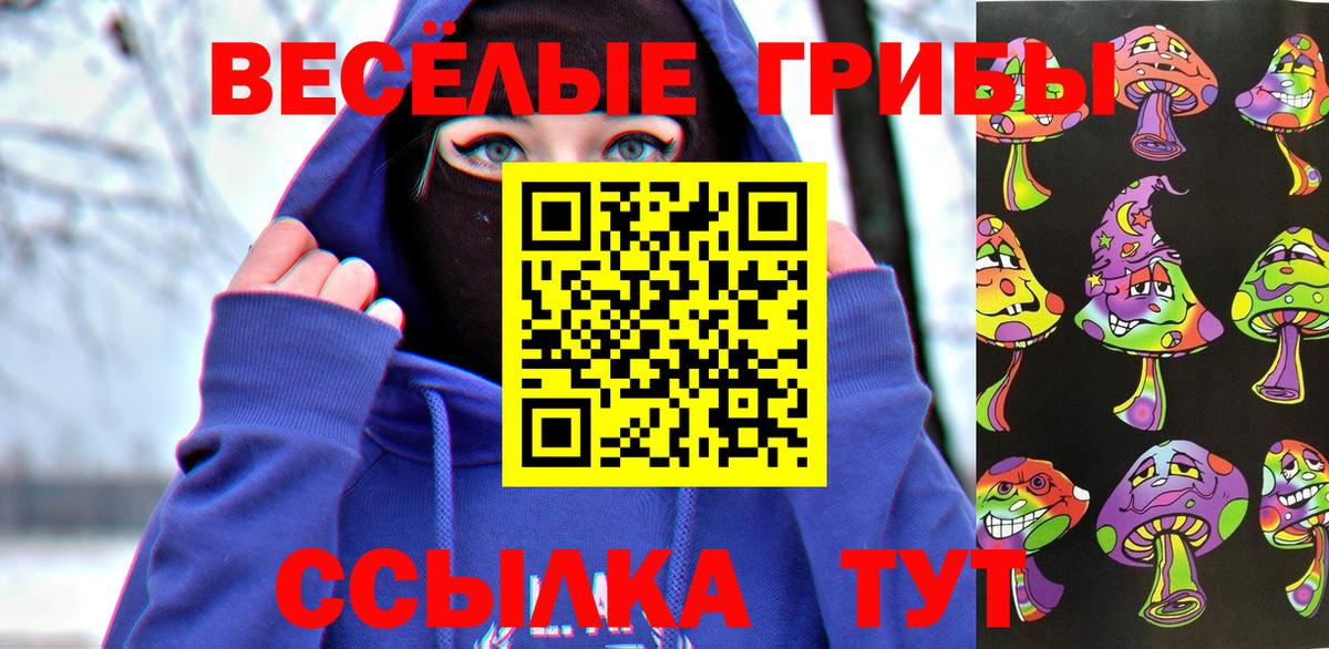 Красноярск  Псилоцибиновые грибы Psilocybine cubensis  Вход с VPN 