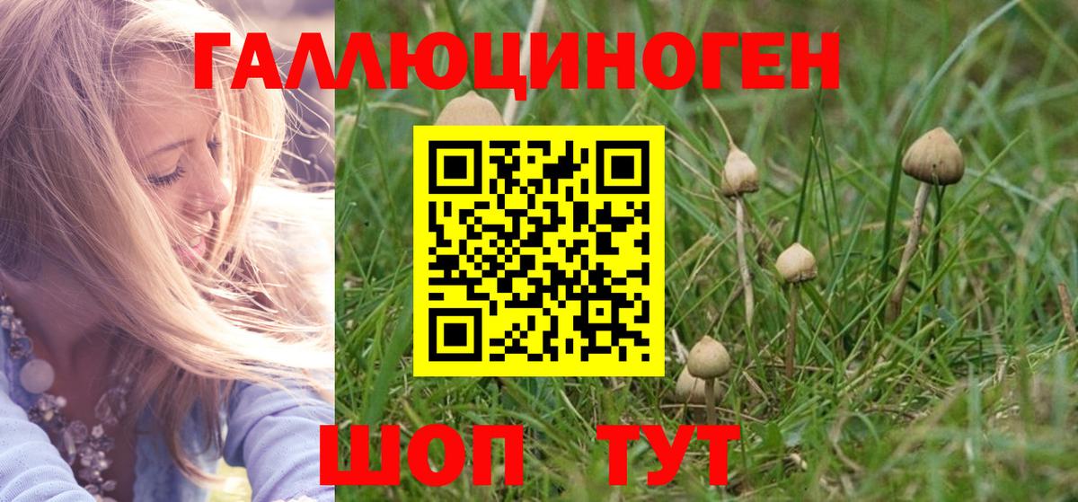 Галлюциногенные грибы мицелий Красноярск